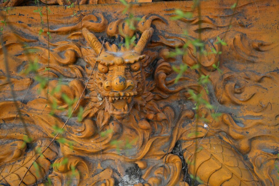 Gold yellow chinese dragon