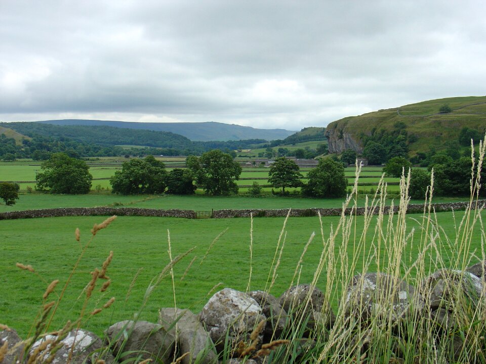 English landscape trees green