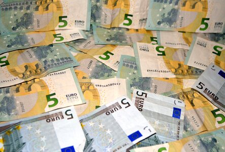 Euro currency dollar bill photo
