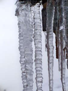 Frozen close-up freeze photo