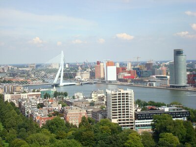 Rotterdam erasmus bridge stadt photo