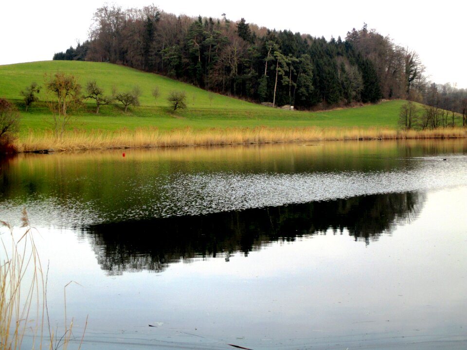 Hauptwil pond mirroring bank