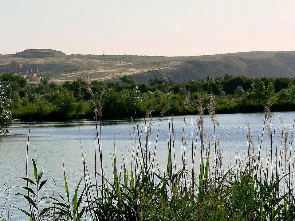 Lake landscape vegetation