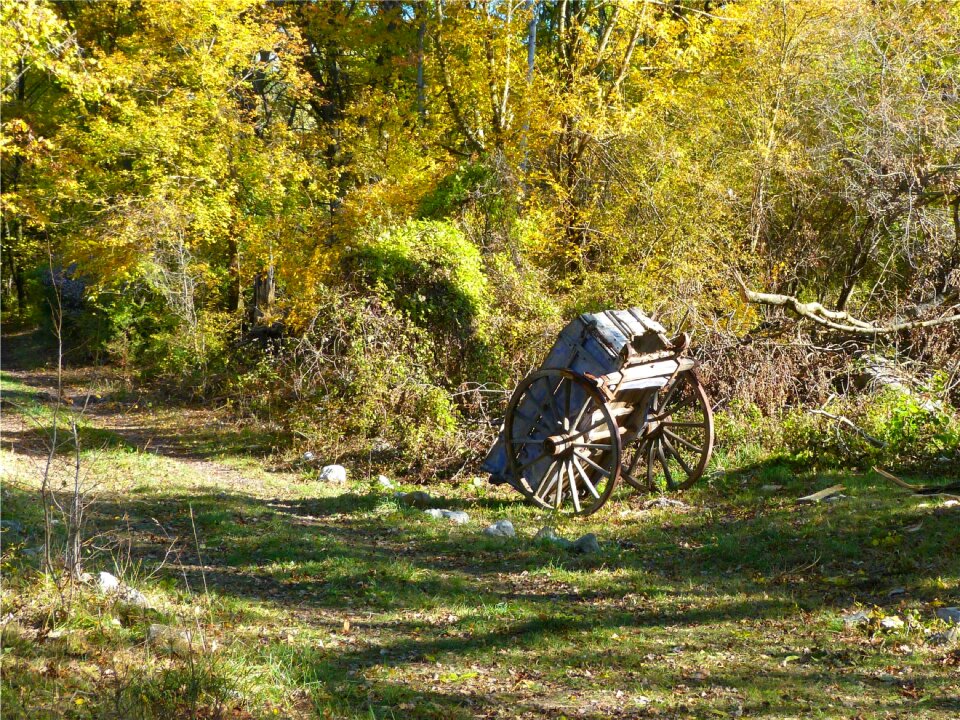 Nature fall charette