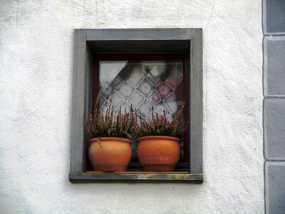 With plant sims clay pots frame