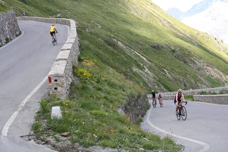 Sport racing cyclists pass road