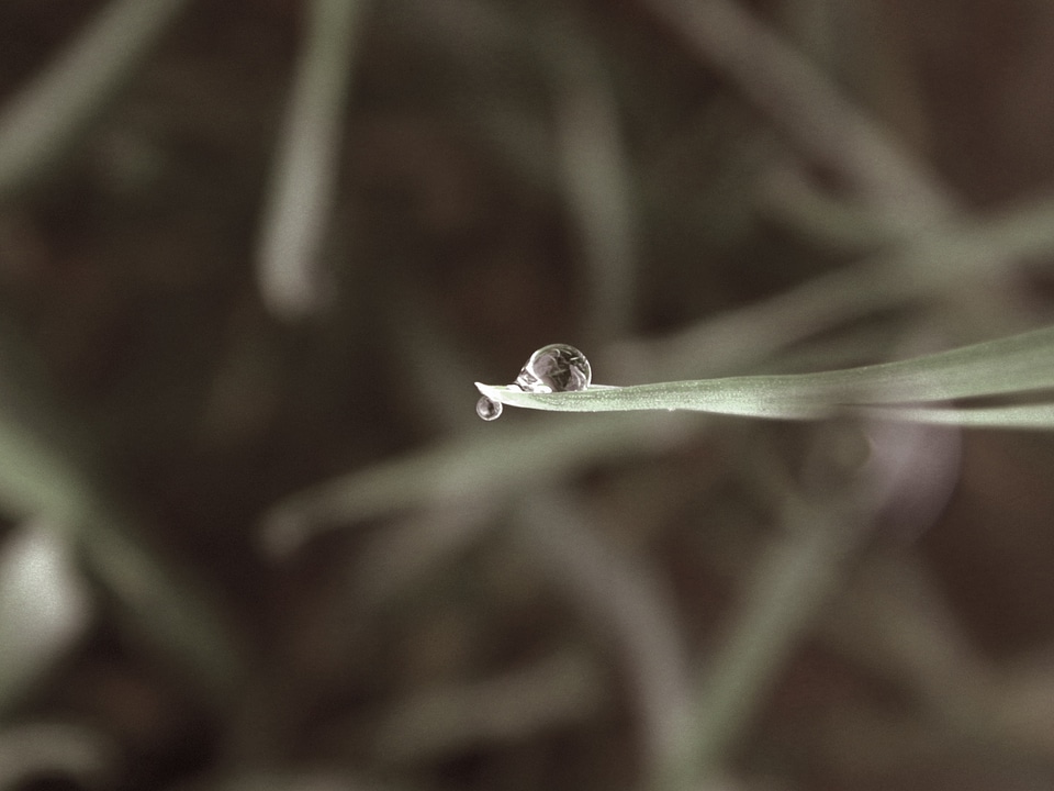 Raindrop liquid bubble