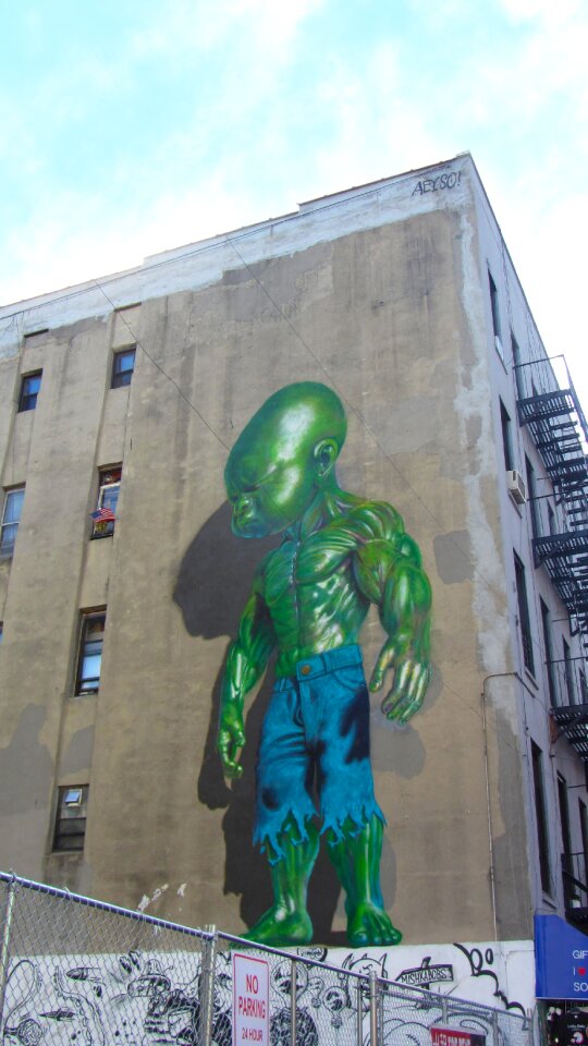 Nyc new york city mulberry street