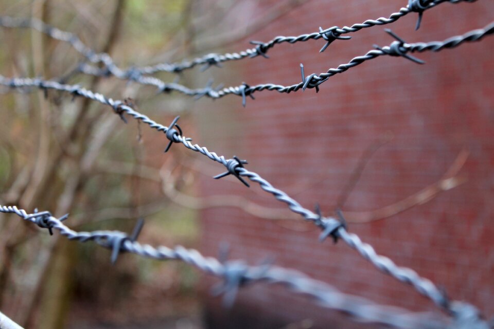 Wire close up tiefenschärfe
