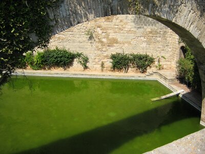 Stone wall green water