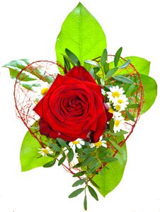 Red floral arrangement bouquet