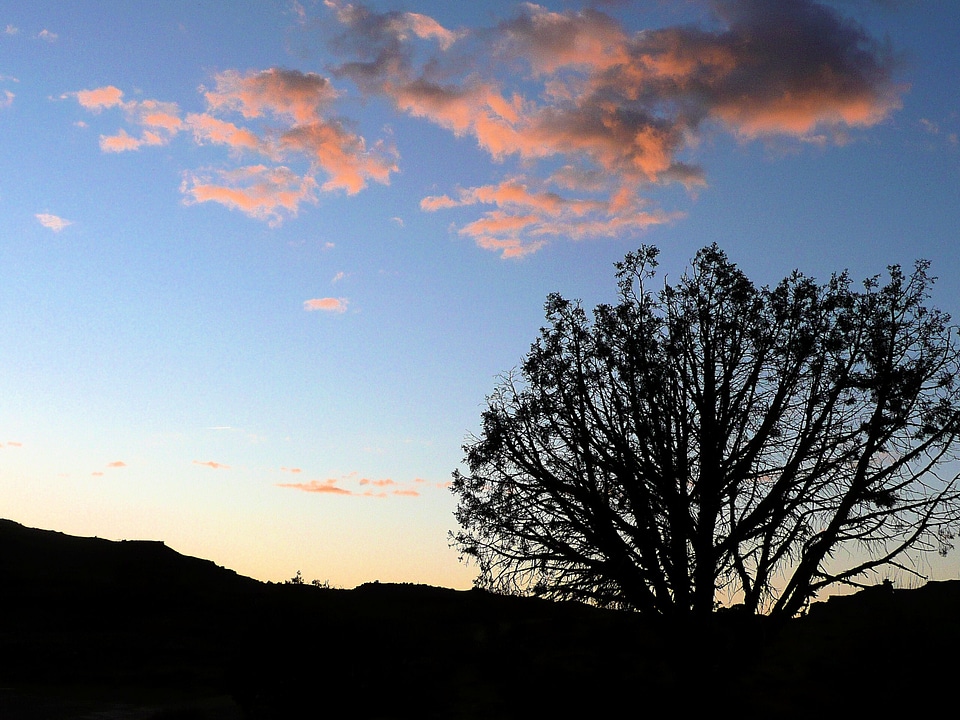 Organic wilderness sky
