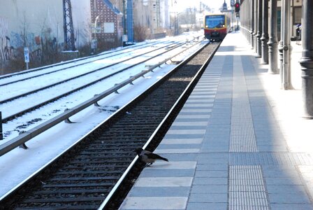 Public means of transport rail s bahn train
