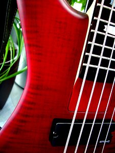 Strings music instrument