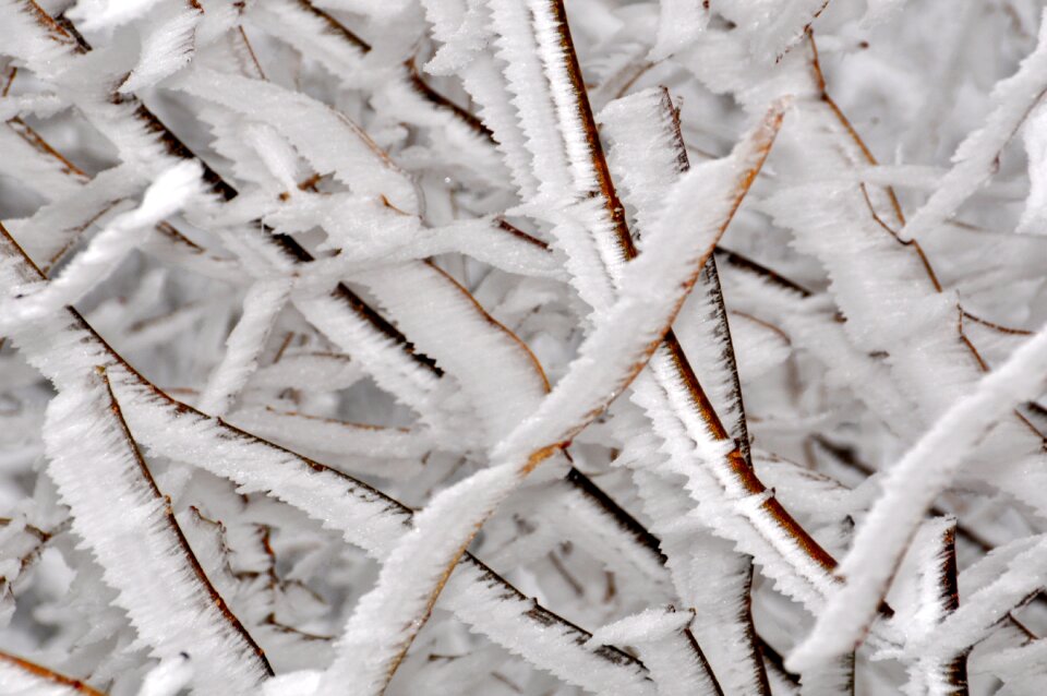Winter ice frozen