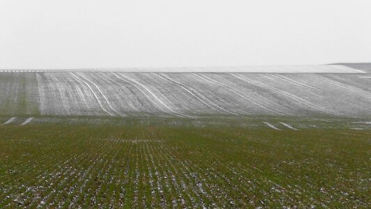 Color out agriculture