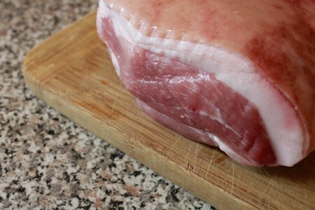 Raw piece of meat food