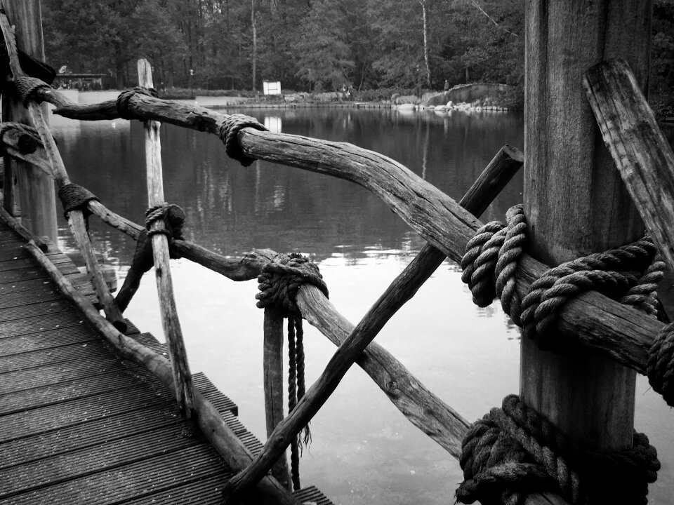 Lake park black and white