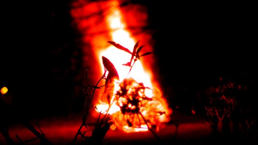 Burn wood fire brand