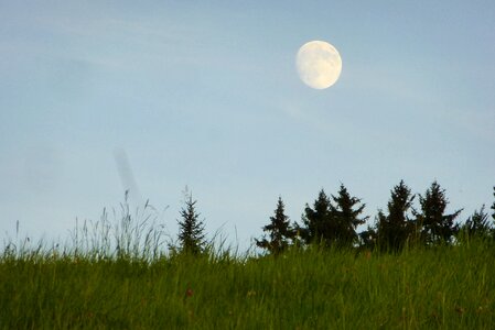 Full moon dusk meadow