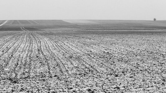 Winter black and white cold