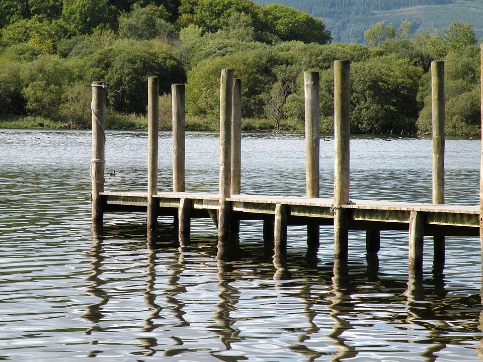 Lake water wooden