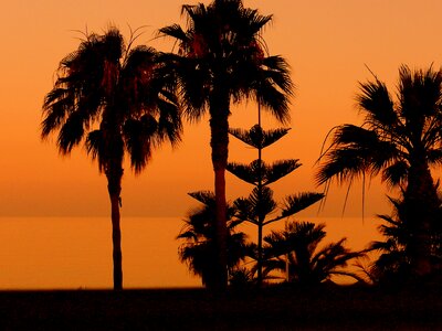 Sunset beach nerja photo