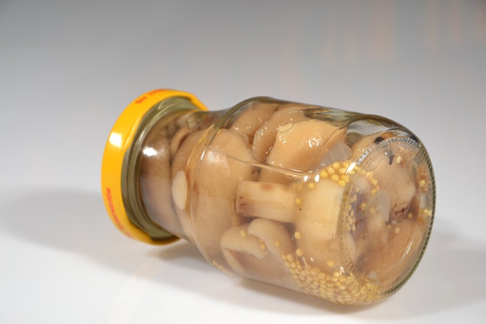 Kitchen mushroom edible