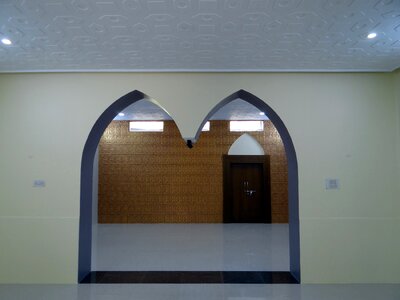 Decoration arch door skylight ceiling