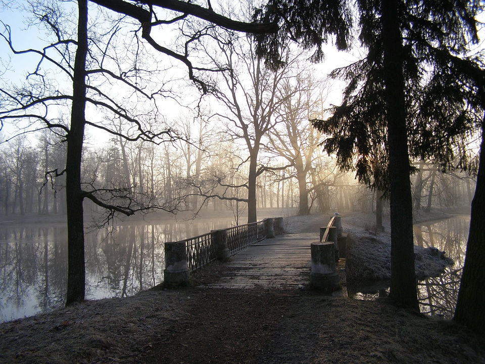 Morning bridge fog