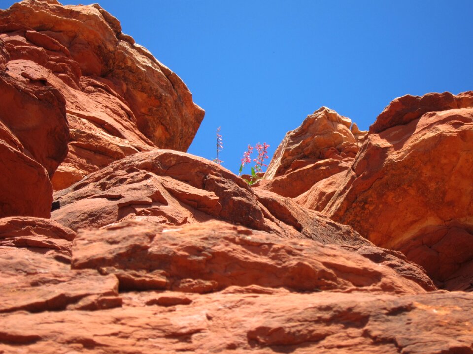 Arizona desert scenery photo