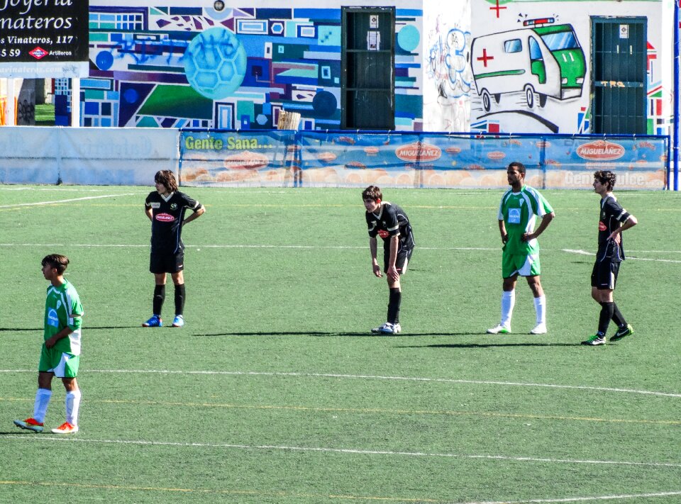 Lawn football stadium sport