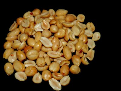 Nibble nuts cores
