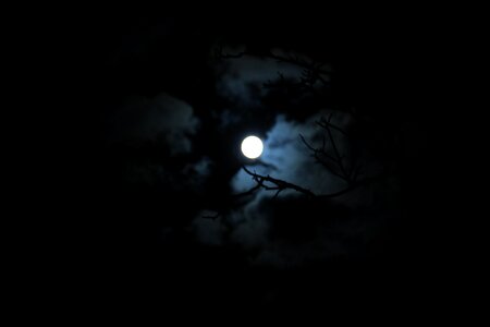 Dark cloud moonlight