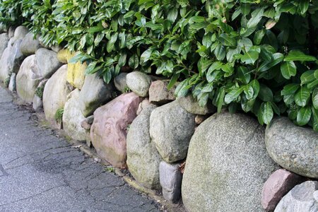 Stone wall stones green