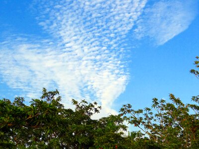 Clouds altocumulus india