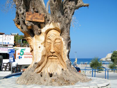 Vacations island gnarled photo