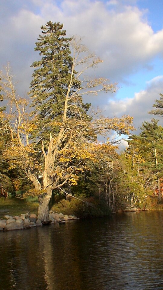 Reflections landscape scenic