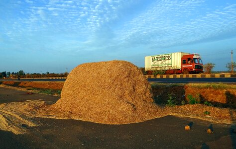 Bagasse fodder crop residue