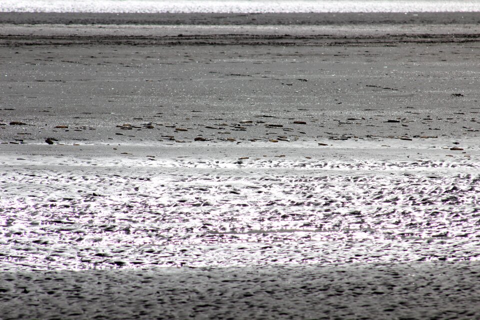 Sand beach sea