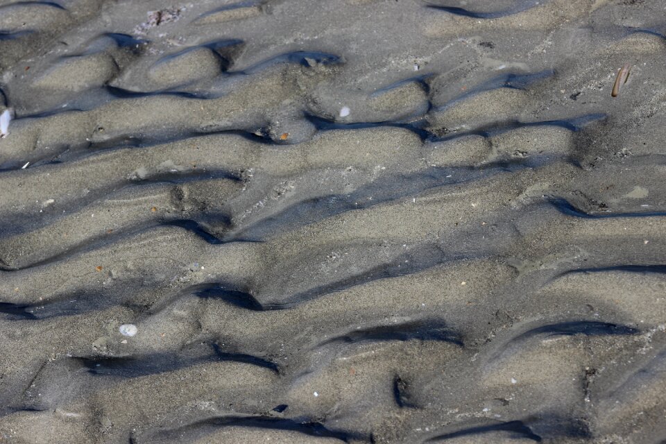 Sand beach sea