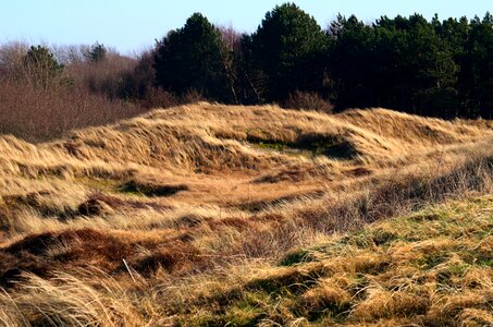 Wadden sea world heritage sea national park photo