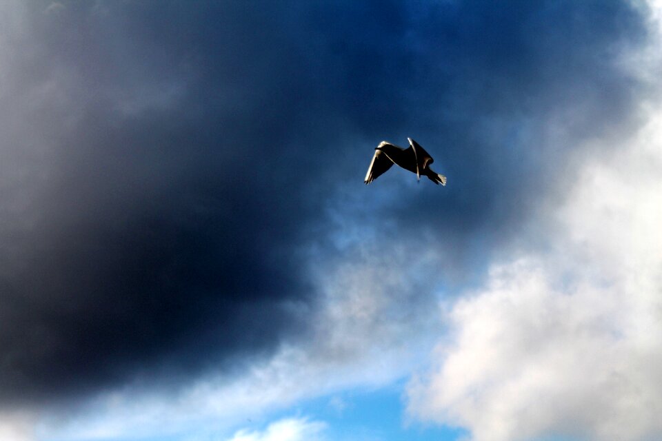 Cloud flight ala