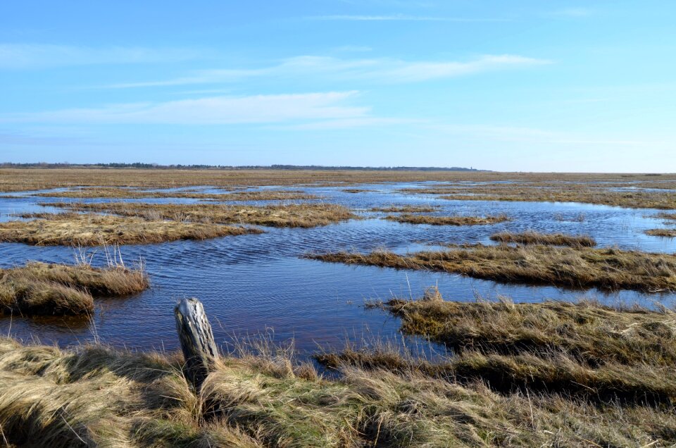 Watts world heritage sea national park photo