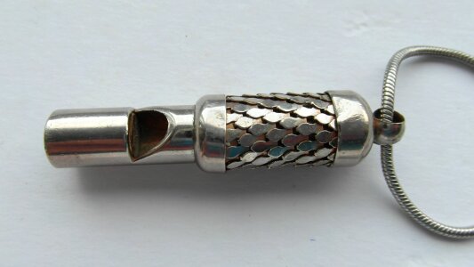 Whistle snake chain silver