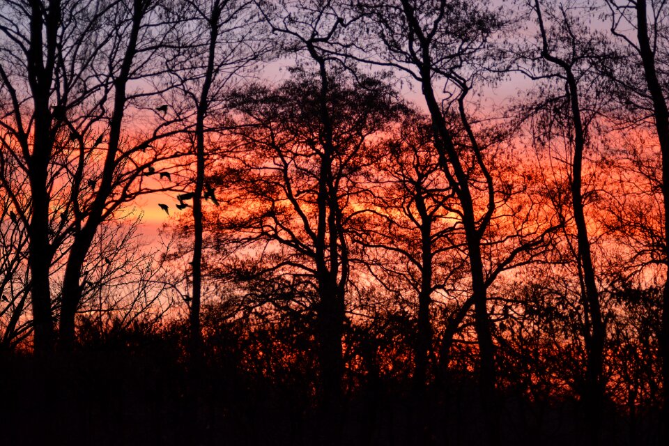 Morgenrot sun skies