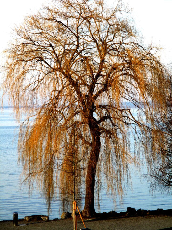 Lakeside sea ​​route sun