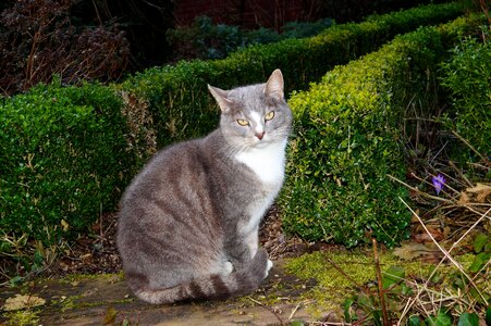 Sit vigilant front