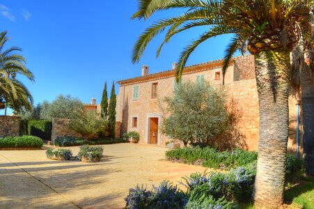 Mallorca farm landscape