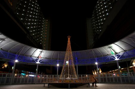 Christmas tree illumination